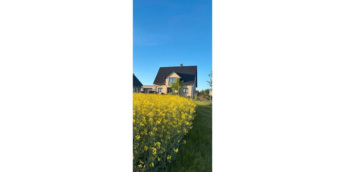 Einfamilienhaus Greifswald - 8 Zimmer, 170 m&sup2;, 2.600&euro; | Angebot:25930663