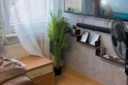 1-Zimmer Wohnung zur Miete zimmer