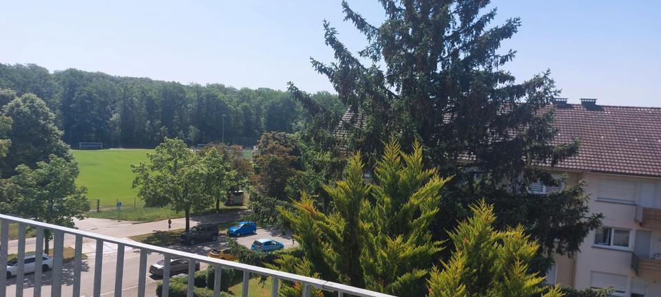 Dachgeschoßwohnung Singen (Hohentwiel) - 3 Zimmer, 70 m&sup2;, 1.050&euro; | Angebot:26489759