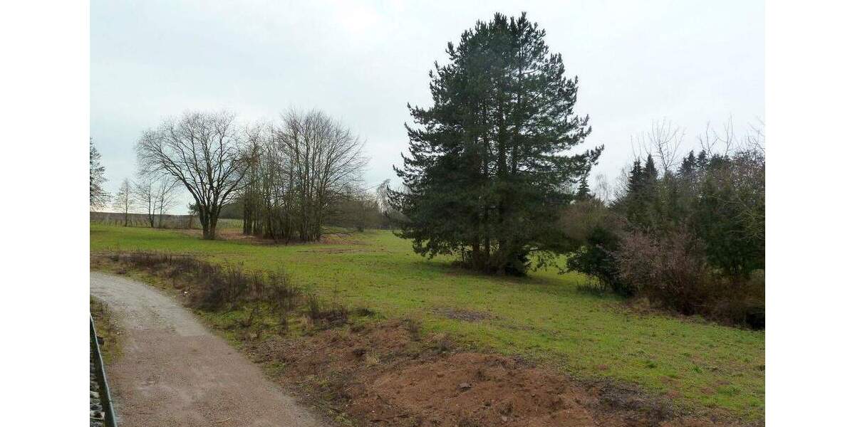 Reihenendhaus Kiedrich - 5 Zimmer, 213 m&sup2;, 2.226&euro; | Angebot:24566302