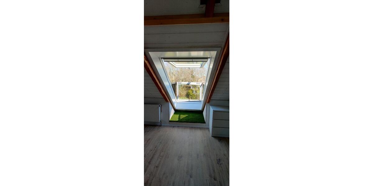 Einfamilienhaus Heide - 5 Zimmer, 159 m&sup2;, 1.600&euro; | Angebot:26603454