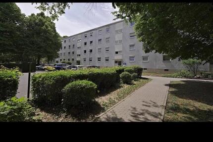 3 Zimmer Wohnung zu vermieten auf der Schanz zimmer