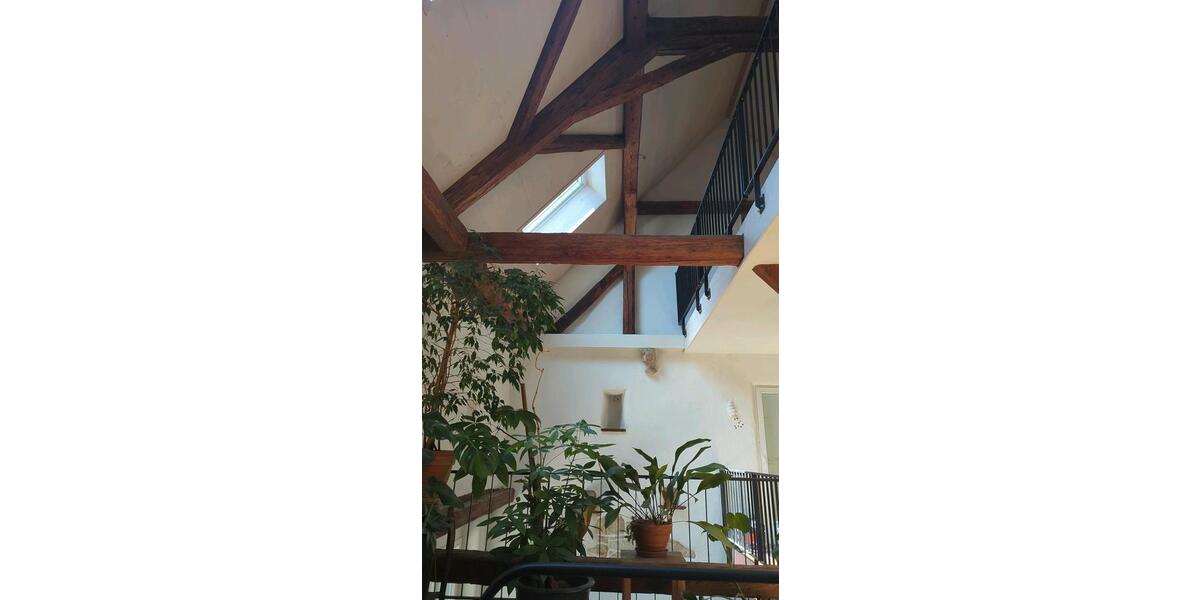 Loft - Studio - Atelier Efringen-Kirchen Kirchen - 1 Zimmer, 130 m&sup2;, 1.200&euro; | Angebot:26396743
