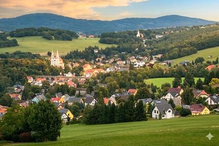 Wohnung Schirgiswalde-Kirschau Kirschau - 2 Zimmer, 47 m&sup2;, 300&euro; | Angebot:26050462