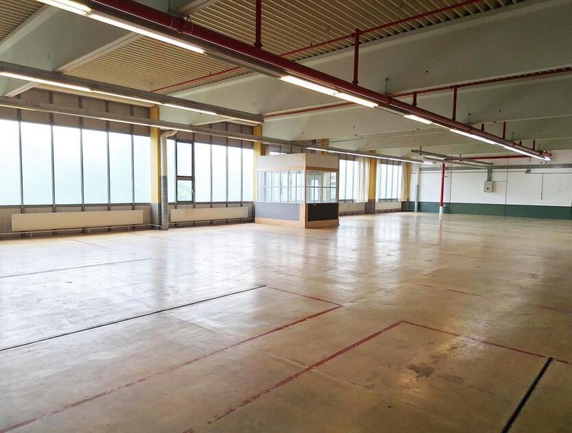 Große Lagerhalle in Göppingen – Mit Lastenaufzug, ab 4EURm²