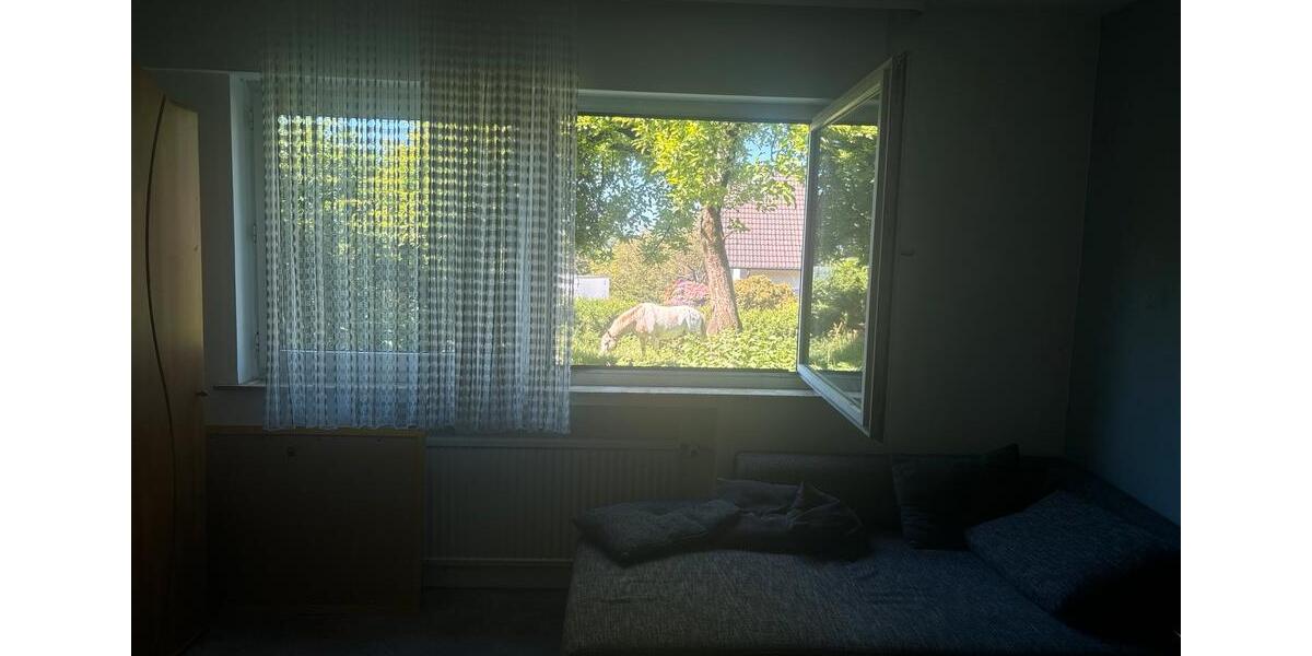 Erdgeschoßwohnung Reichshof - 2 Zimmer, 50 m&sup2;, 450&euro; | Angebot:26706039