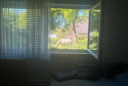 Wohnung Reichshof - 2 Zimmer, 50 m&sup2;, 450&euro; | Angebot:26706039