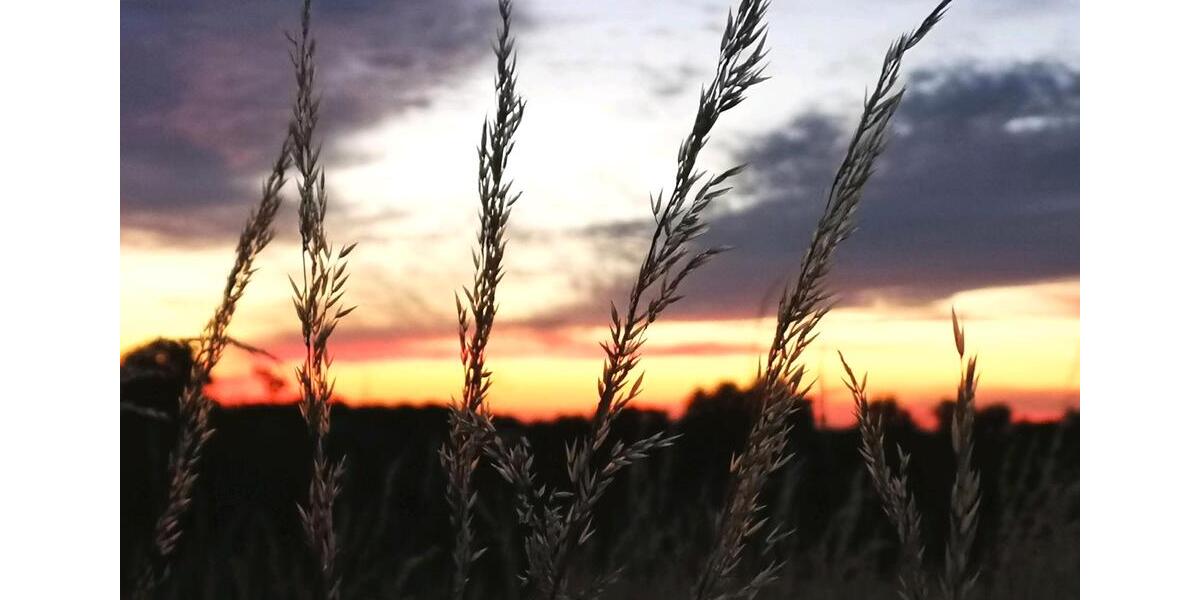 Etagenwohnung Lommatzsch - 5 Zimmer, 100 m&sup2;, 500&euro; | Angebot:9074918