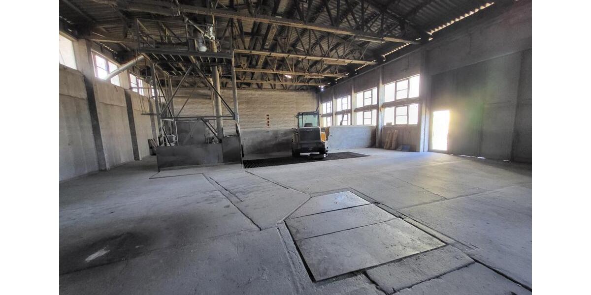 Gewerbeobjekt Forst (Lausitz) - 1.000&euro; | Angebot:24980452