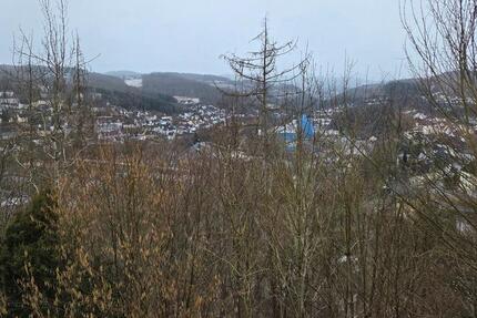 Wohnung Werdohl - 3 Zimmer, 66 m&sup2;, 394&euro; | Angebot:25129066