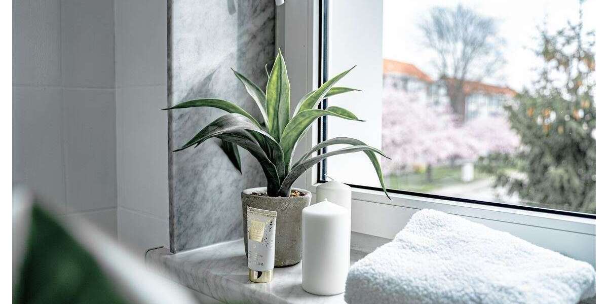 Wohnung zum Mieten in Lauchhammer 317 € 52.8 m² 2 zimmer