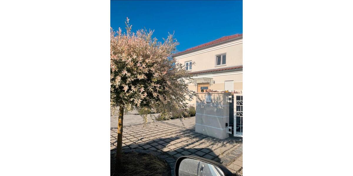 Erdgeschoßwohnung Rain - 1 Zimmer, 40 m&sup2;, 595&euro; | Angebot:25226046