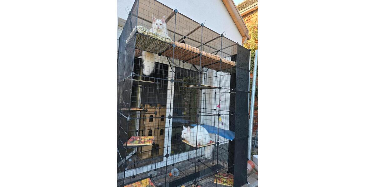 Wohnen auf Zeit Burg - 1 Zimmer, 45 m&sup2;, 58&euro; | Angebot:24747382