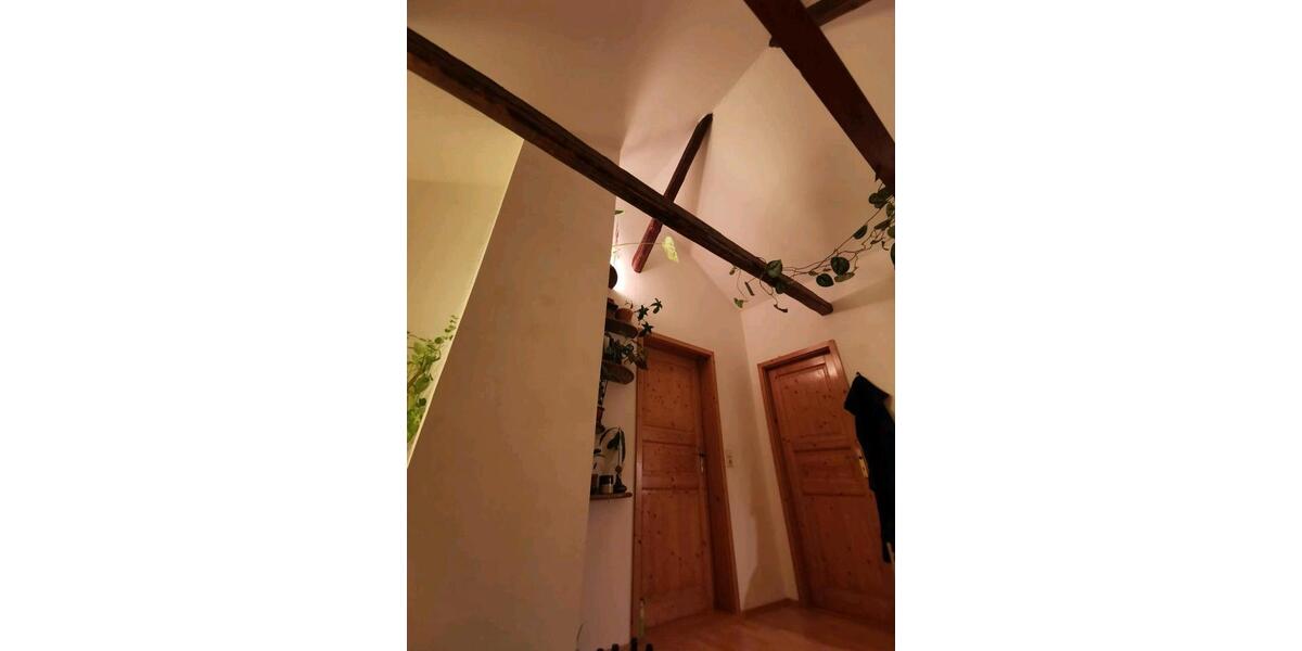 großes helles WG zimmer im Grünen in Tharandt zimmer