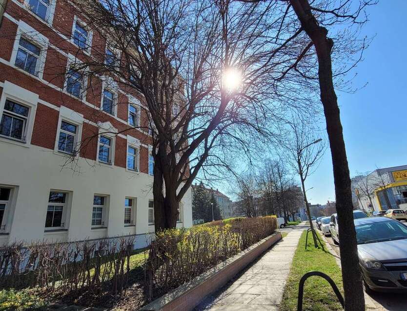 Wohnung zum Mieten in Chemnitz 200 € 39.44 m²