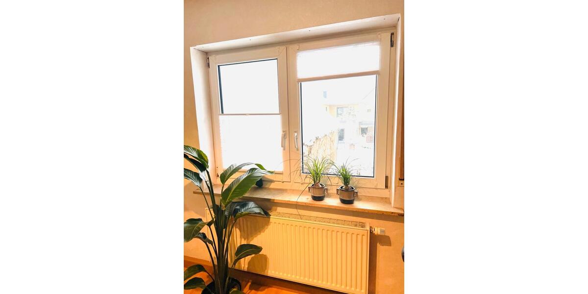 Wohnen auf Zeit Erlangen Alterlangen - 1 Zimmer, 19 m&sup2;, 510&euro; | Angebot:24753108