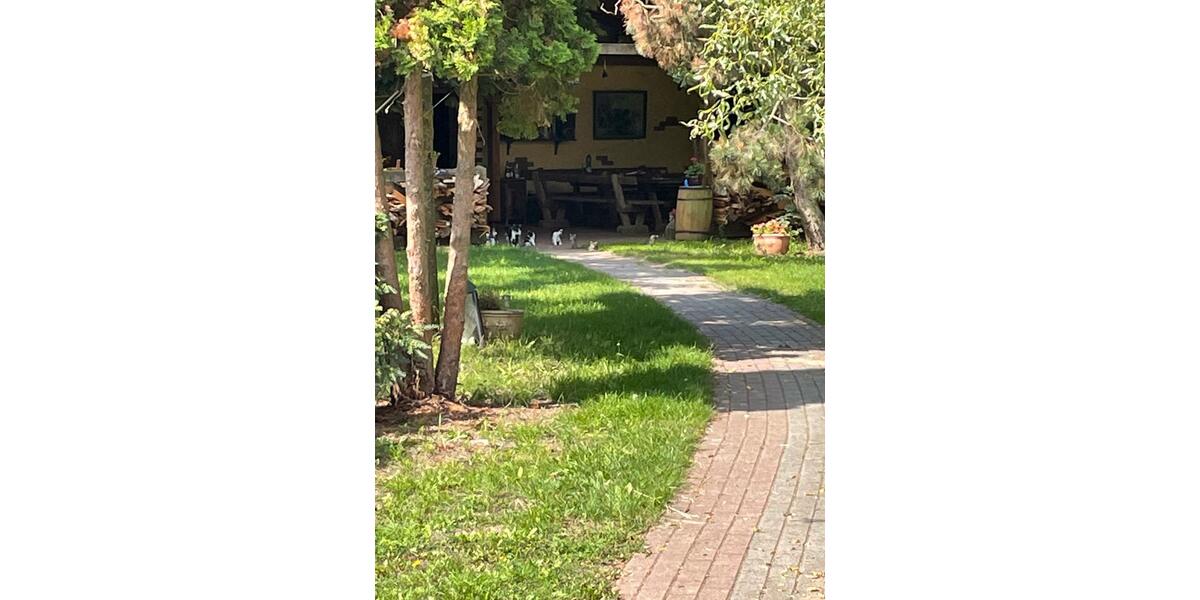 Wohnen auf Zeit Steinhöfel - 15 Zimmer, 18 m&sup2;, 350&euro; | Angebot:25757048