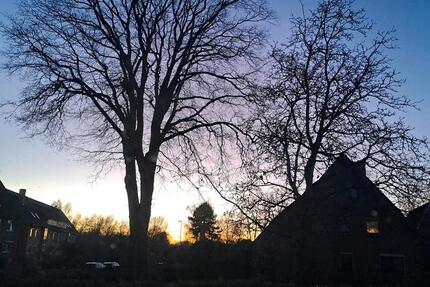 Gewerbeobjekt Syke - 600&euro; | Angebot:24778455