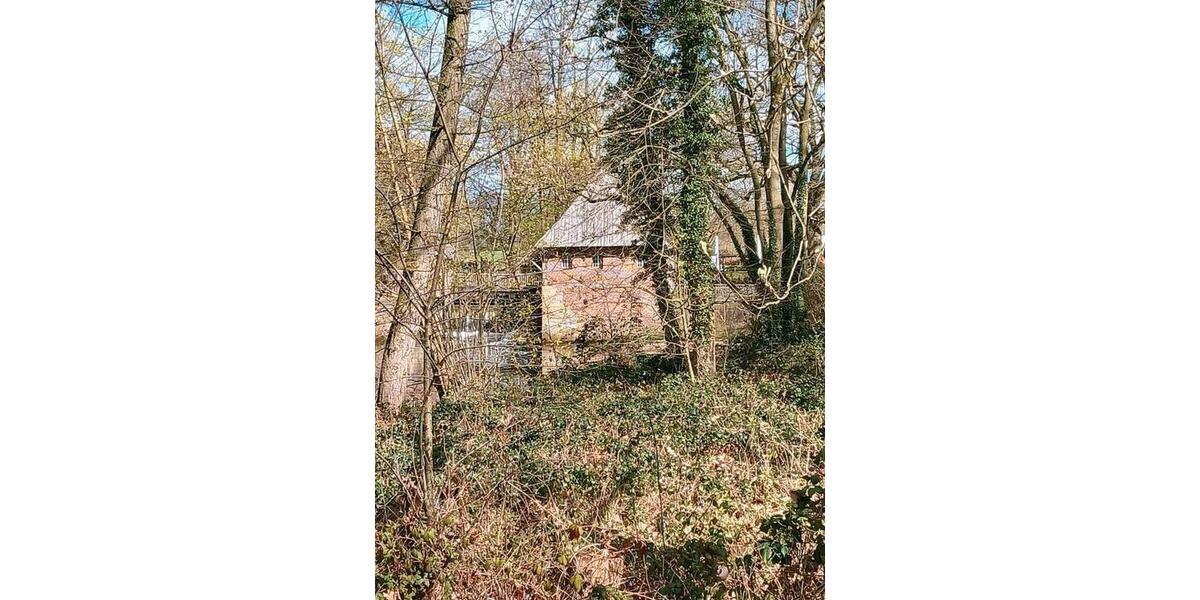 Wohnen auf Zeit Ahaus - 2 Zimmer, 40 m&sup2;, 70&euro; | Angebot:25617128