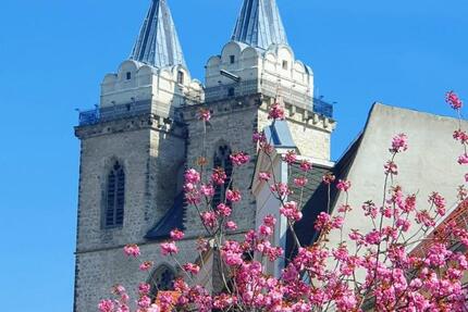 Wohnen auf Zeit Schönebeck (Elbe) - 2 Zimmer, 65 m&sup2;, 20&euro; | Angebot:24717754