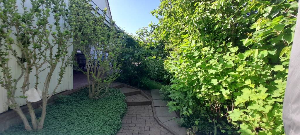 Doppelhaushälfte Rostock Diedrichshagen - 5 Zimmer, 131 m&sup2;, 1.300&euro; | Angebot:26751849