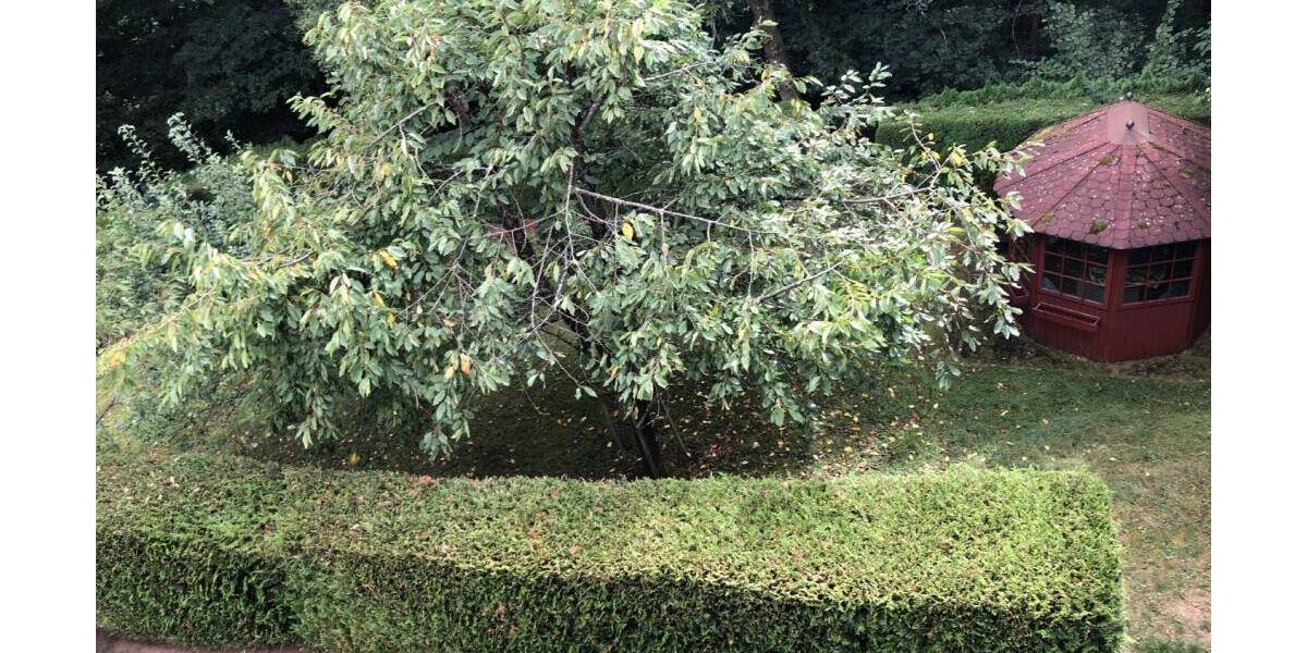 Etagenwohnung Blieskastel Lautzkirchen - 5 Zimmer, 185 m&sup2;, 1.130&euro; | Angebot:26105802