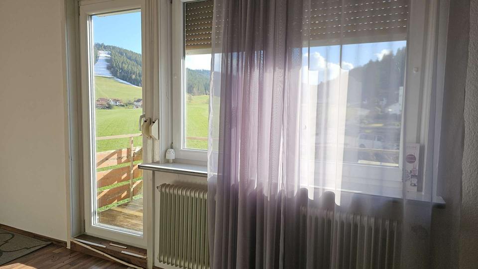 Dachgeschoßwohnung Baiersbronn - 1 Zimmer, 30 m&sup2;, 400&euro; | Angebot:26562064