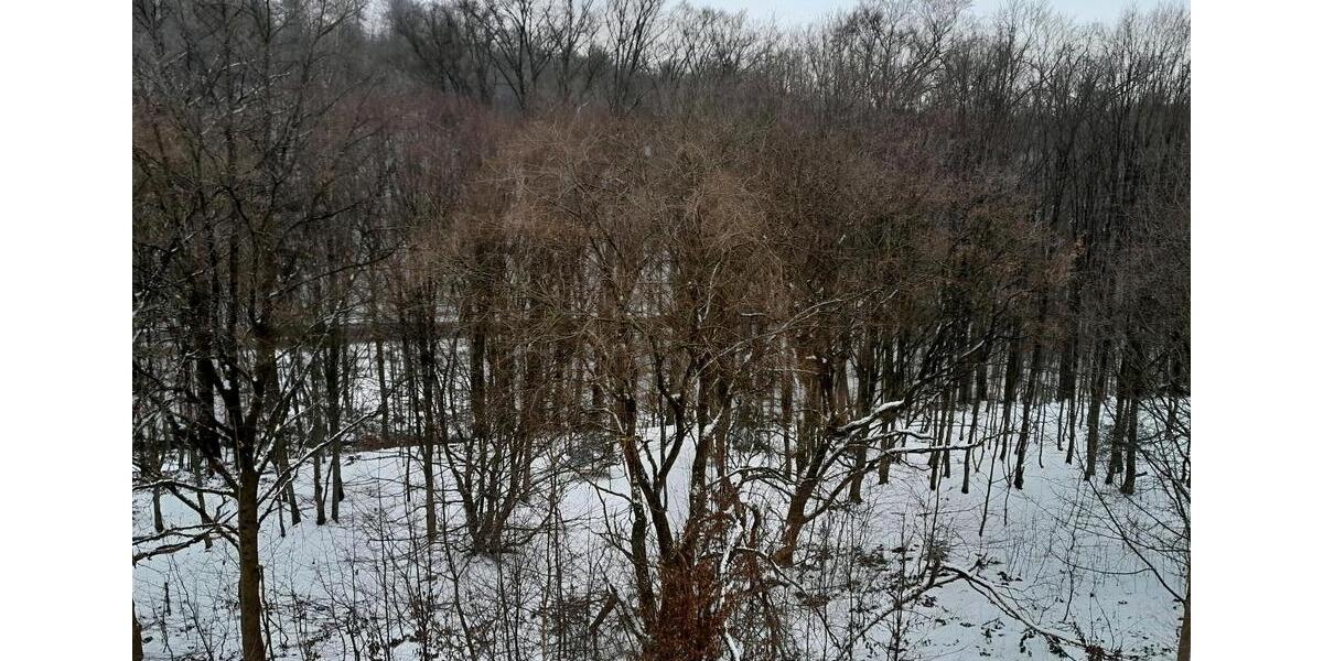 Dachgeschoßwohnung Osterode am Harz - 2 Zimmer, 75 m&sup2;, 671&euro; | Angebot:24919067