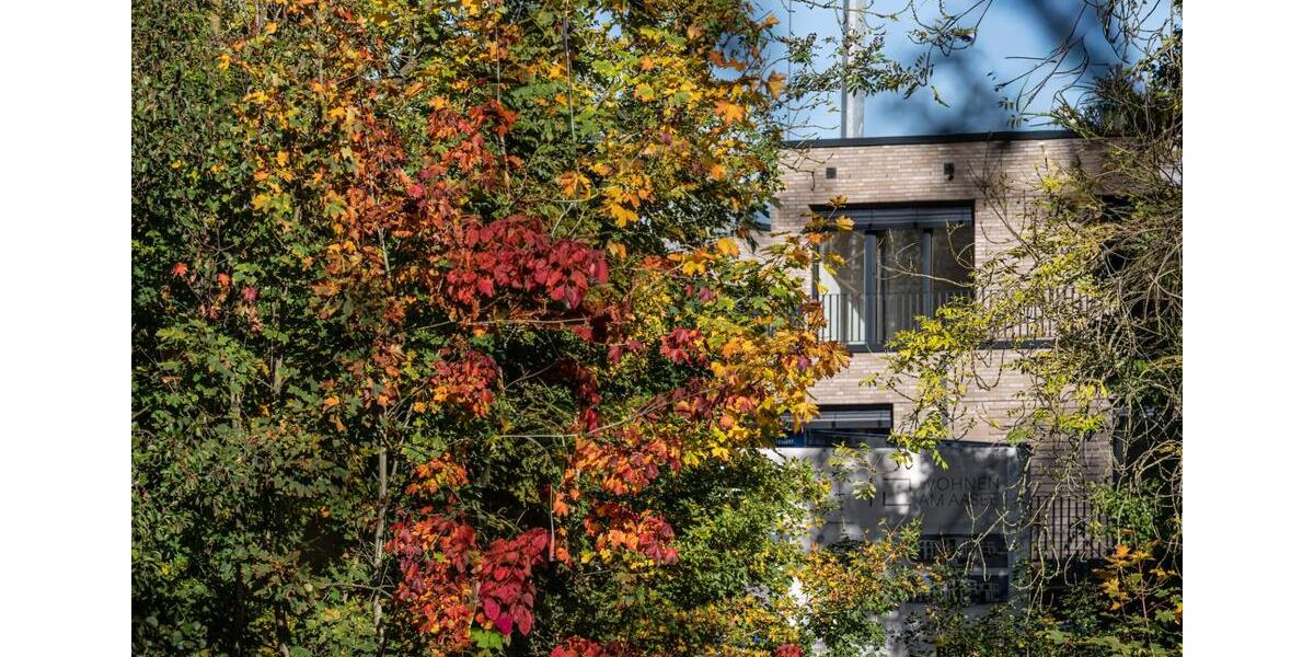 Dachgeschoßwohnung Ibbenbüren - 2 Zimmer, 72 m&sup2;, 1.160&euro; | Angebot:23634954