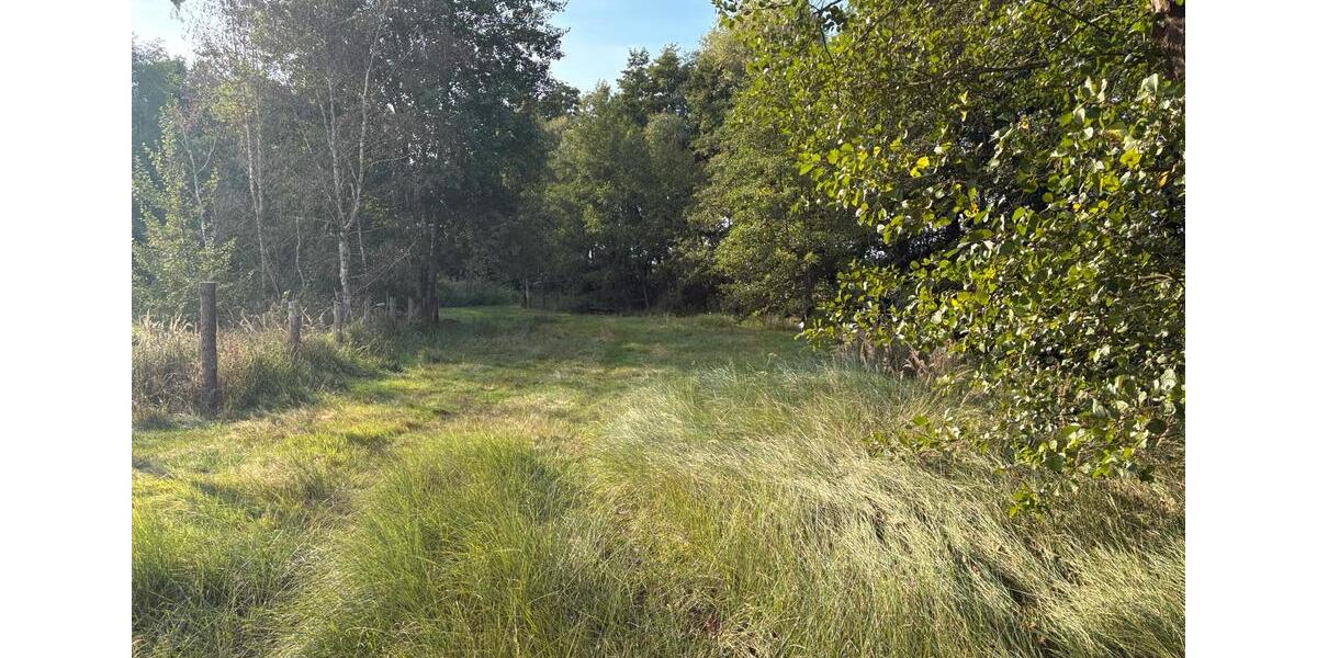 Fischteiche zu verpachten, Teich Pacht Wienhausen bei Celle zimmer