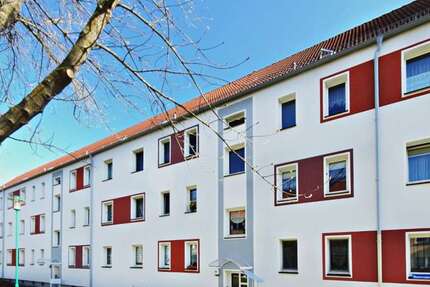 Wohnung zum Mieten in Zwickau 182,70 € 29 m² 1 zimmer