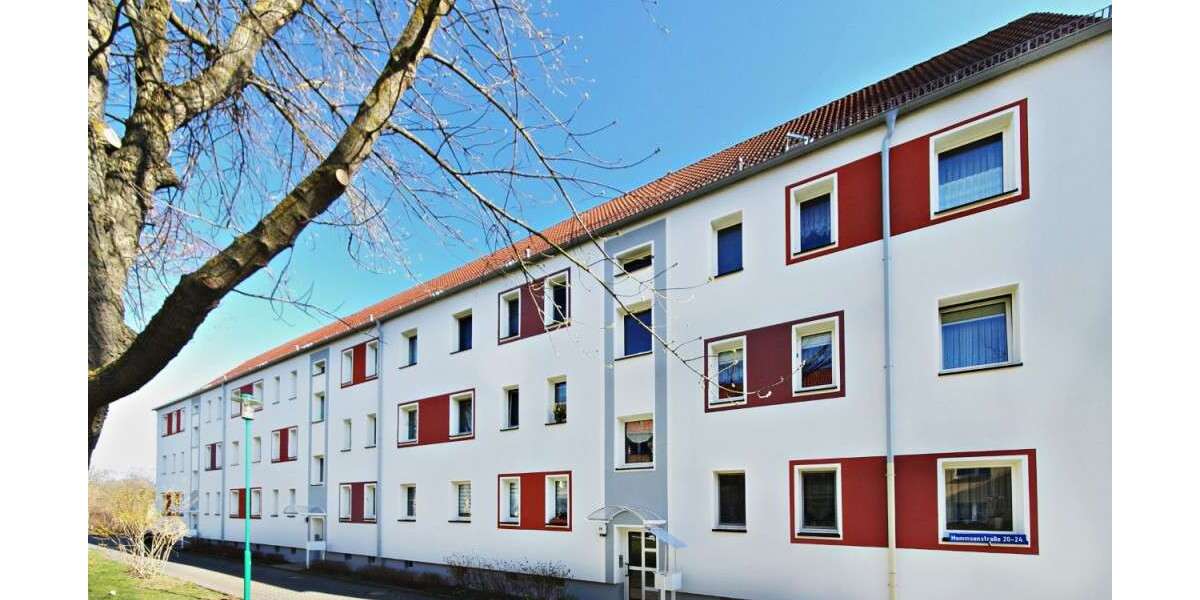 Wohnung zum Mieten in Zwickau 182,70 € 29 m² 1 zimmer