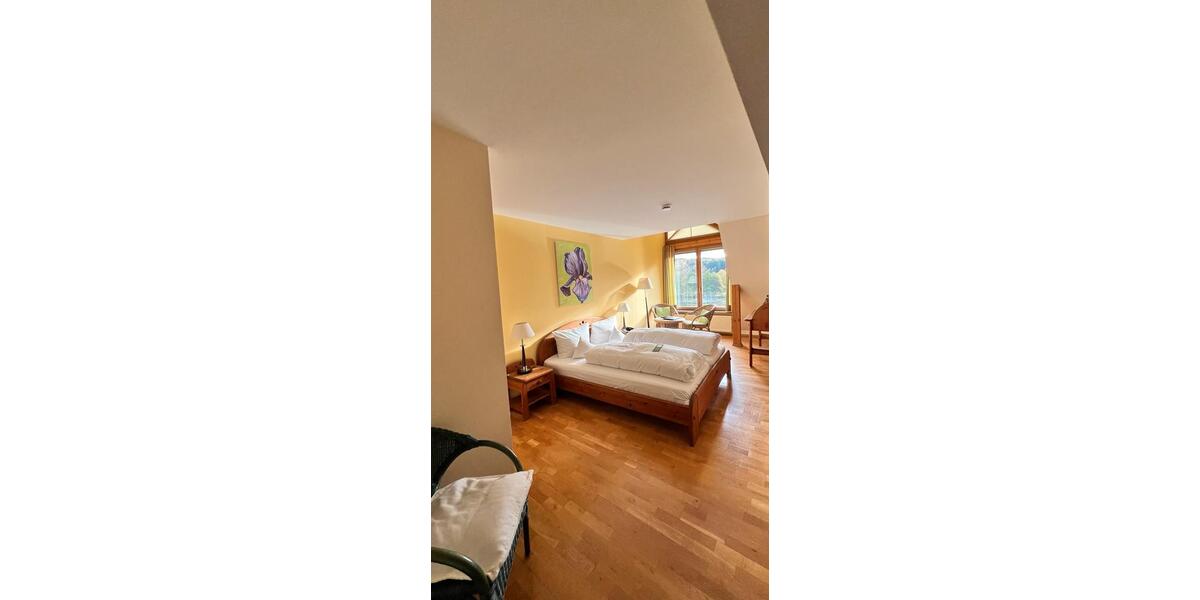 Wohnen auf Zeit Rieneck - 1 Zimmer, 25 m&sup2;, 750&euro; | Angebot:25779057