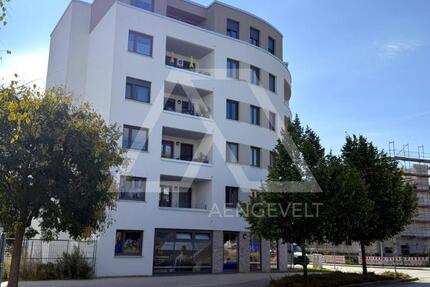 Gewerbeobjekt Magdeburg Alte Neustadt - 1.859&euro; | Angebot:22613237