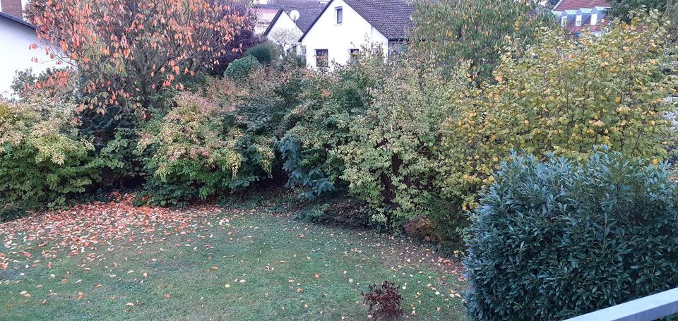 Geräumige 3 Zimmer Wohnung mit Balkon und Stellplatz 3 zimmer