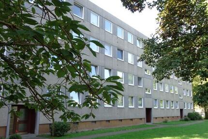 Perfekt für uns: großzügige 3-Zimmer-Wohnung 3 zimmer