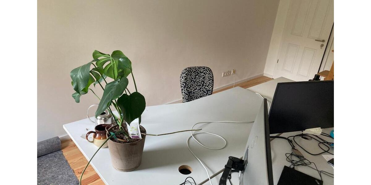 Ruhiges Gemeinschaftsbüro: 2-3 Arbeitsplätze frei (ab sofort) zimmer