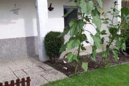 Wohnung Erlangen Dechsendorf - 3 Zimmer, 66 m&sup2;, 650&euro; | Angebot:24357015