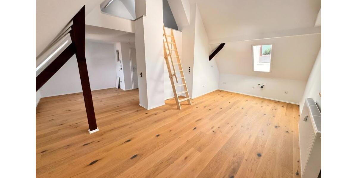 großzügige renovierte 1,5 Zi. Whg in Ebermannstadt zu vermieten 1 zimmer