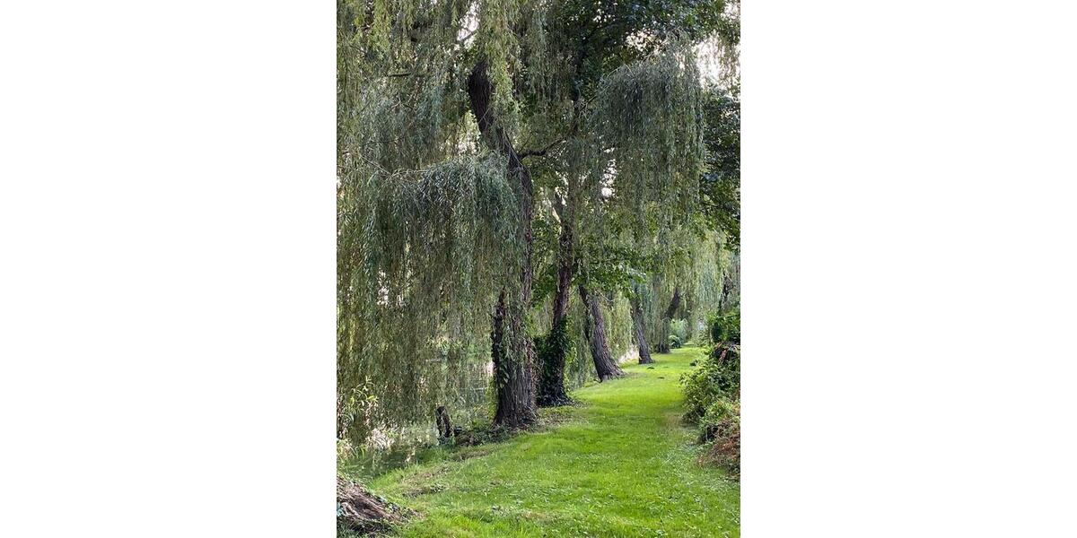 Geschmackvolle 2,5-Raum-Maisonette-Wohnung am Schwielowsee 2 zimmer