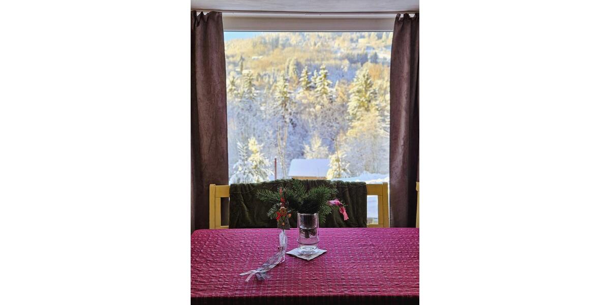 Wohnen auf Zeit Warmensteinach - 3 Zimmer, 55 m&sup2;, 125&euro; | Angebot:24685853