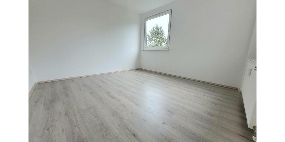 Aussicht über Freisenbruch! Helle 4-Zimmer-Wohnung mit Balkon! 4 zimmer