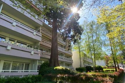 Wohnung Wiesbaden Südost - 1 Zimmer, 30 m&sup2;, 490&euro; | Angebot:26700028