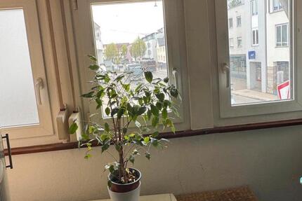 Wohnung Fellbach Oeffingen - 1 Zimmer, 17 m&sup2;, 550&euro; | Angebot:26099233
