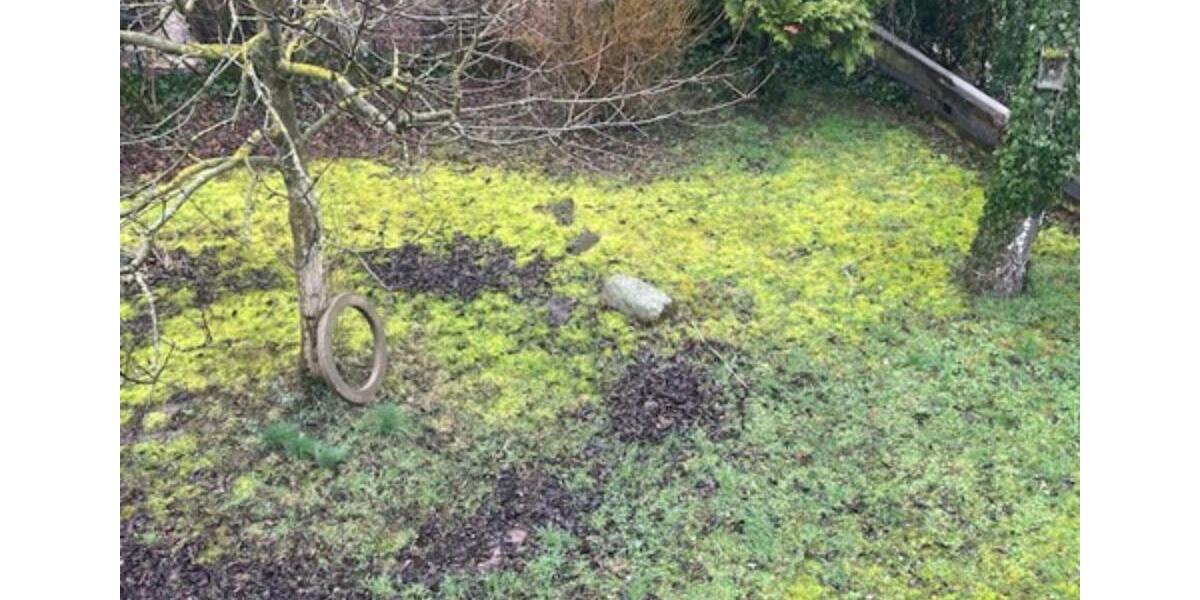 Wohnen auf Zeit Wiesloch - 5 Zimmer, 115 m&sup2;, 1.400&euro; | Angebot:25468375