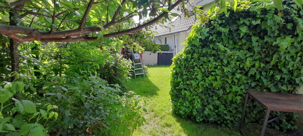 Doppelhaushälfte Rostock Diedrichshagen - 5 Zimmer, 131 m&sup2;, 1.300&euro; | Angebot:26751849