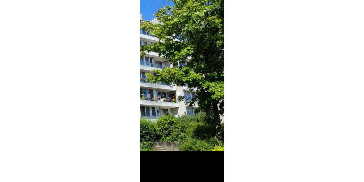 Etagenwohnung Lachendorf - 2.5 Zimmer, 60 m&sup2;, 550&euro; | Angebot:26702116