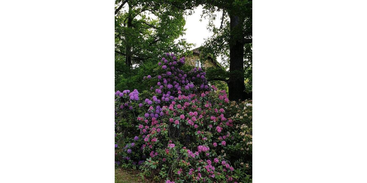 Hochparterre Waldheim - 5 Zimmer, 137 m&sup2;, 950&euro; | Angebot:25309793