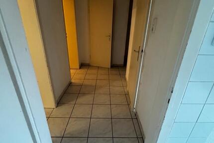 2 Zimmer EG Wohnung zimmer