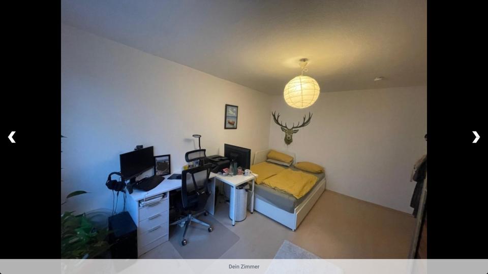 Wohnen auf Zeit Greifswald - 1 Zimmer, 16 m&sup2;, 260&euro; | Angebot:26443101